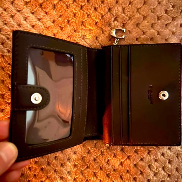 Shiny Black - Picture 3 of 3